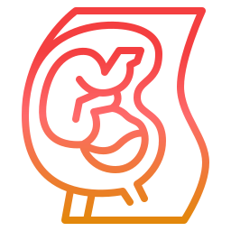 NUTRIÇÃO PARA GESTANTES